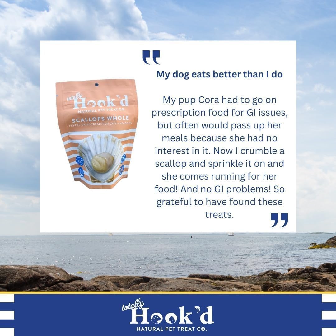 Totally Hook'd Freeze‑Dried Single‑Ingredient Whole Fish Treat, High‑Protein Omega-3, Raw, Great for Training and Picky Eaters, Snack for Dogs & Cats (1 Ounce Bag, Whole Scallop, 3 Pack Bundle)