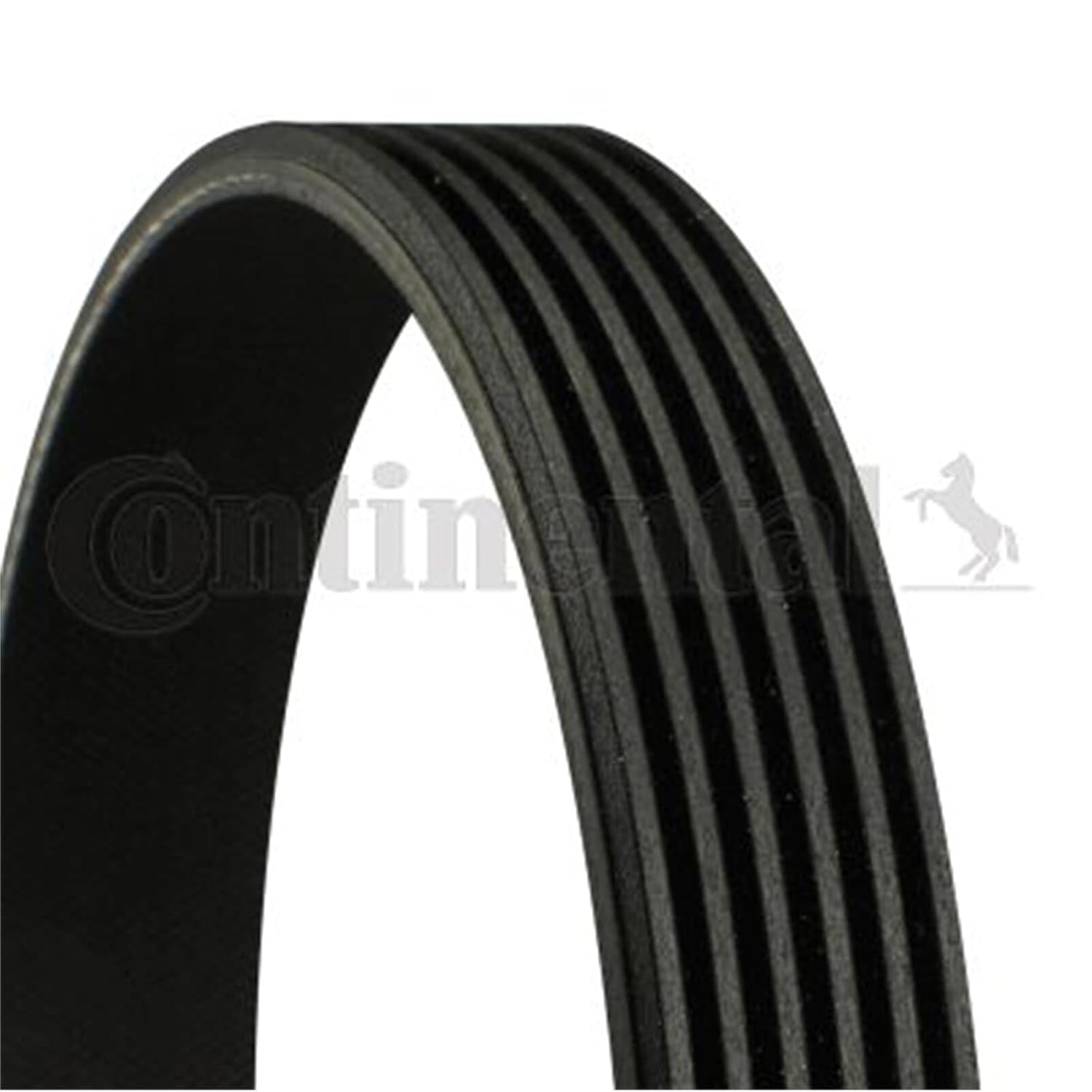 CONTITECH 6PK1675 V-Ribbed Belt