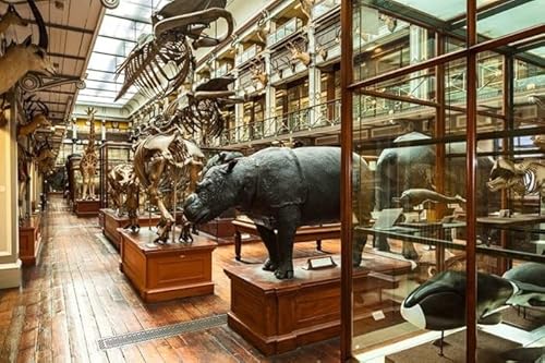 DUBLIN - National Museum of Ireland, Archaeology, interior - audio guide tour of Dublin (English)