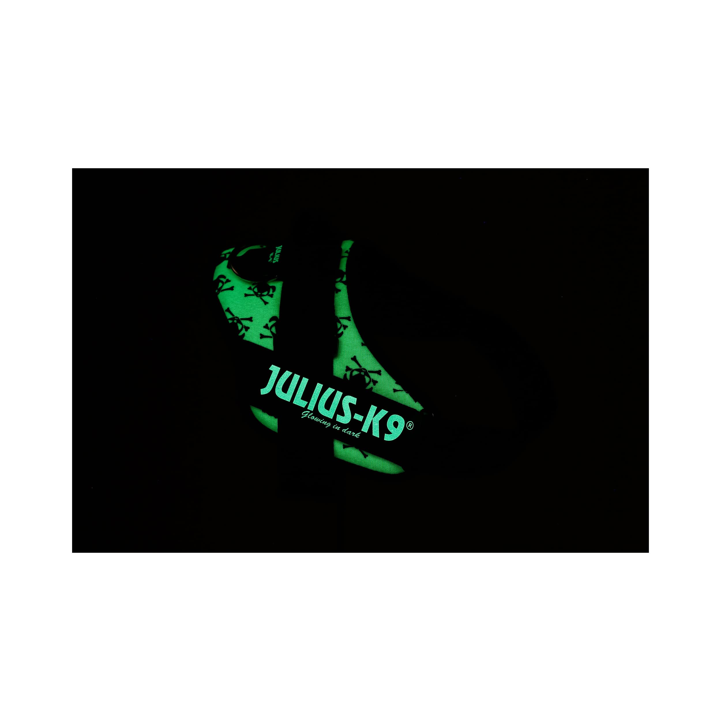 Julius-K9 IDC Powerharness, Camouflage, M/0 — view 596