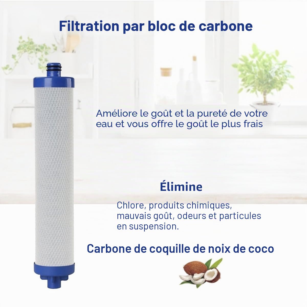 Culligan Kit pré-filtre de rechange avec membrane pour système d'osmose inverse AC 30