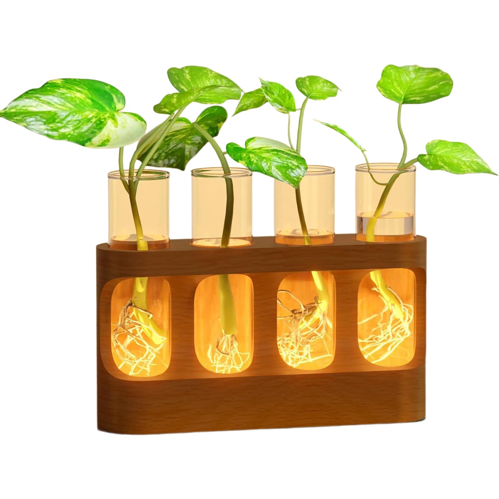 Station de propagation en verre avec tubes à essai et lampes LED pour terrarium maison