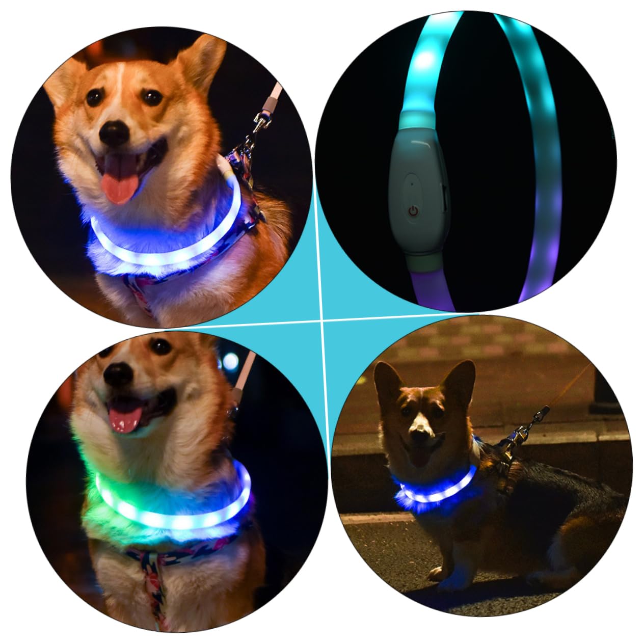 POPETPOP 2juegos Collar Led para Perros y Resistente Carga USB Collar Brillante para Mascotas para Paseos Nocturnos