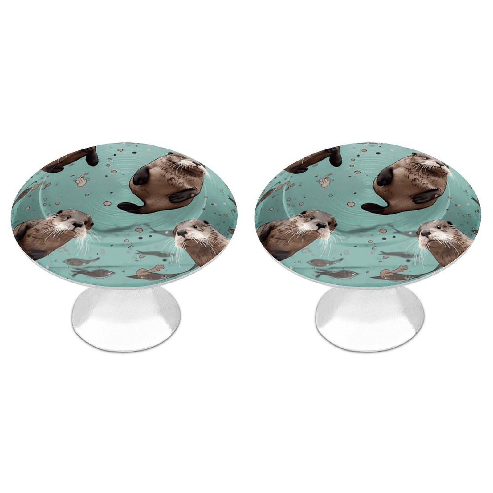 DWVTSLH Otters Cabinet Handles 2 Pack Stainless Steel Kitchen Drawer Pulls with Installation Screws Round Dresser Drawer Knobs 1.1 Inch Modern Cabinet Hardware Door Handles