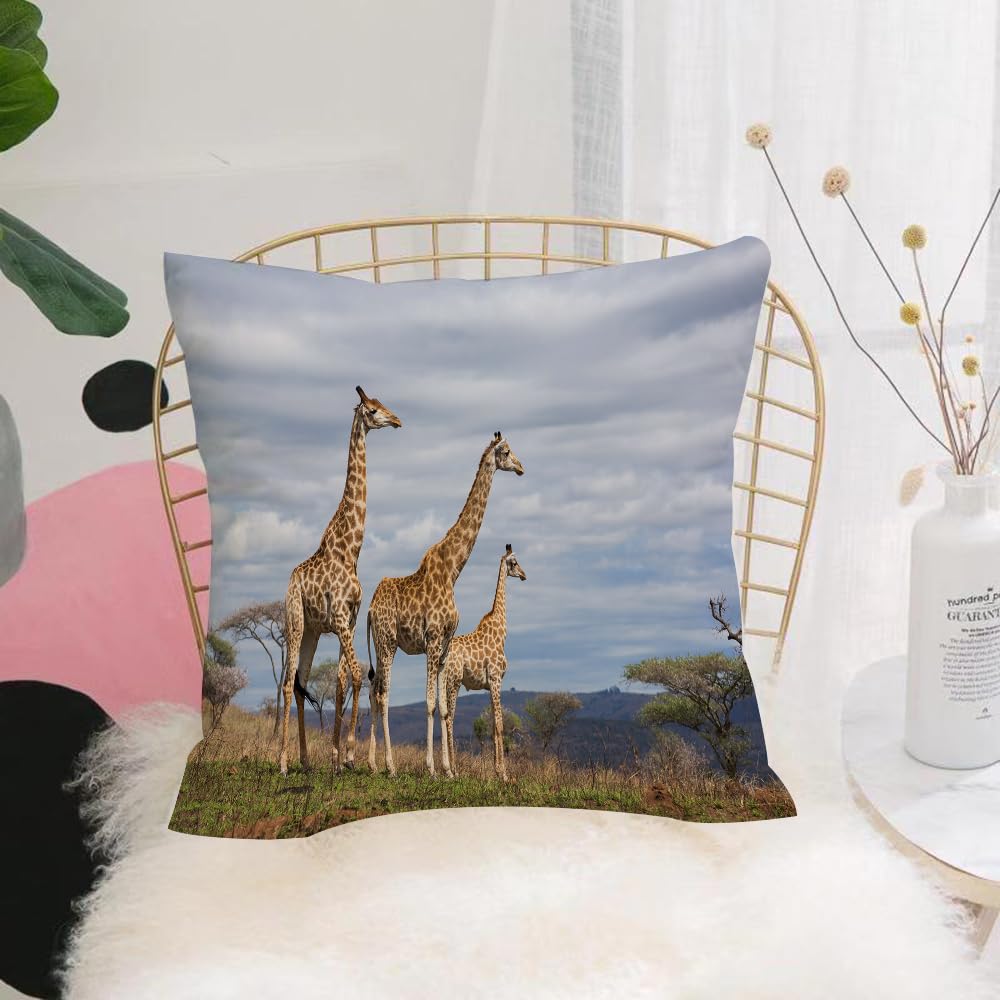 HYMSXW Cushion Cover,Throw Pillow Case Home Decorative for Living Room Bedroom Sofa Chair 20X20 Inch,Wildlife decor, African giraffe family in reg,Pillowcase 50X50cm