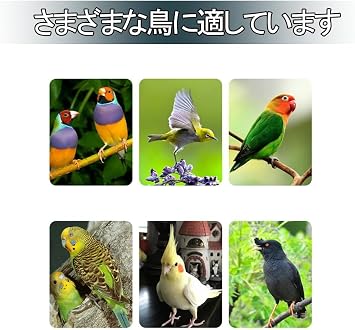 Large Bird Cage Large 62cm x 58cm x 100cm High Strength with Removable Tray Large Parrot Cage Large Cage Stainless Steel Standing Stick Universal Wheel for Birdhouse Multiple Parrot Lovebird Finch
