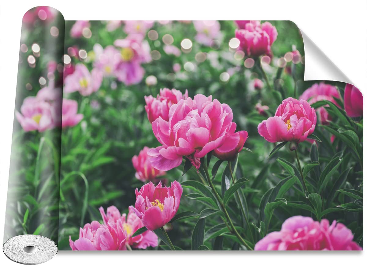 Papier Peint Auto-Adhésif Pivoines Roses Décoration Murale Moderne 250x104cm