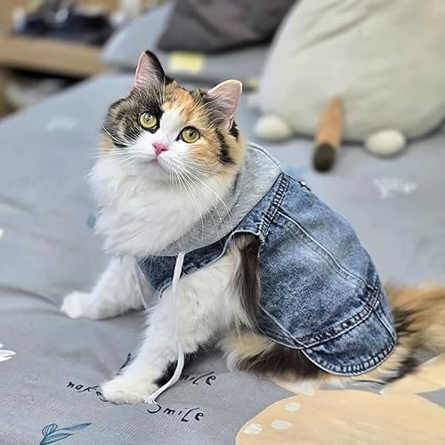 Miniatura 8 de Chaqueta de mezclilla para perro, abrigo de mezclilla azul fresco para niñas pequeñas y medianas y perros, ropa para cachorros, chaleco cómodo con