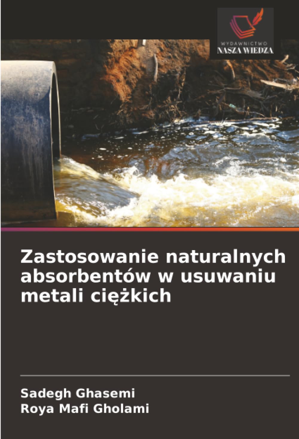 Zastosowanie naturalnych absorbentów w usuwaniu metali ciężkich
