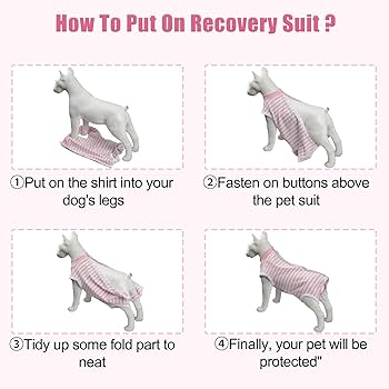 Amazon.com: FEimaX Dog Surgery Recovery Suit Female and Male