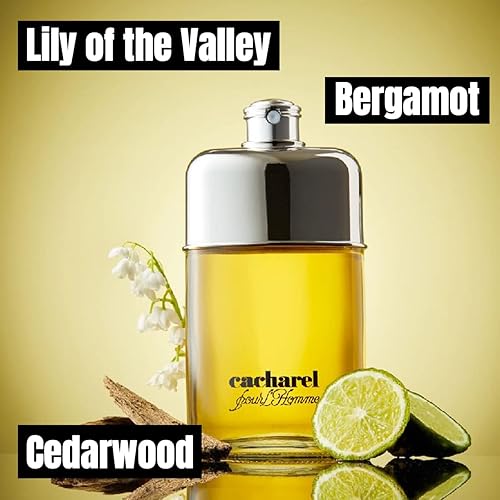Miniatura 3 de Cacharel Pour L'Homme Eau de Toilette Colonia para hombre, fragancia amaderada, picante y floral, notas de bergamota, acuerdo de lirio del valle y