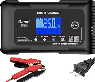 25 amp Lithium Battery Charger,12V and 24V Fully-Automatic Smart Car Battery Charger, Battery Maintainer Trickle Charger, and Battery Desulfator, Lifepo4 AGM Battery Charger