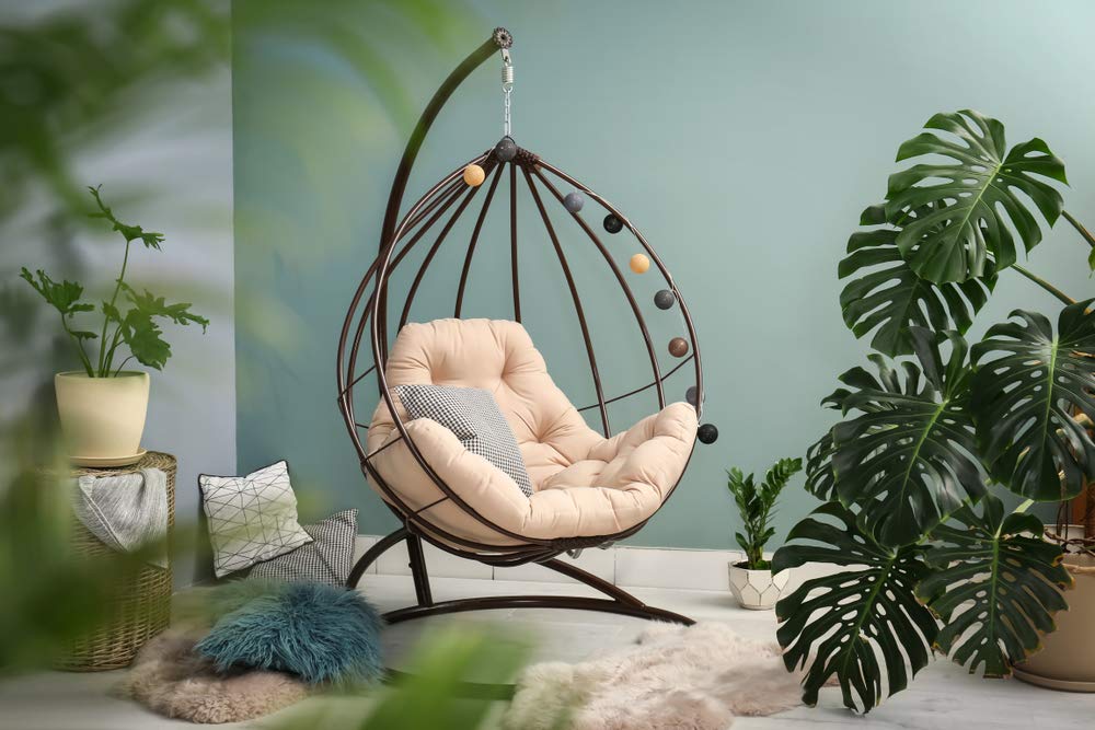 Bloomique - Monstera deliciosa - Costilla de Adán - Plantas de interior - Purificadora del aire - Fácil de cuidar - Altura 70-80 cm - Maceta 21 cm