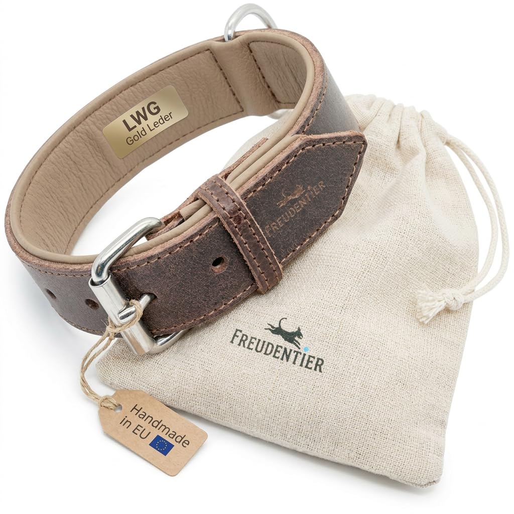 FREUDENTIER Hundehalsband aus Leder, Made in Holland, gefüttert & super komfortabel, hochwertiges breites Lederhalsband aus Vollnarbenleder, Model “Amstelpark” (47-57cm Halsumfang, Dark Chocolate)