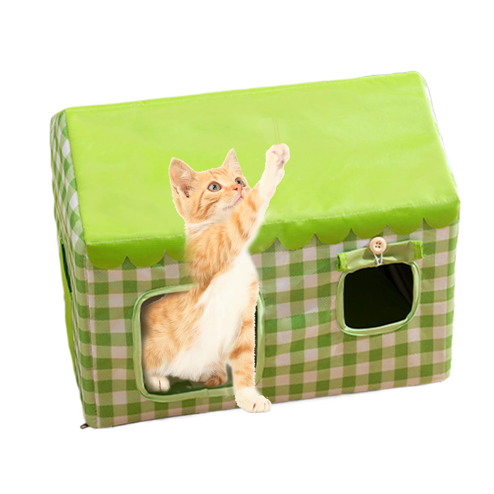 Maison rafraîchissante pour chat havre de paix douillet pour l'extérieur