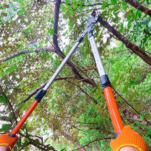 Tijeras poda para árboles con mango telescópico 26-40 pulg miniatura 6
