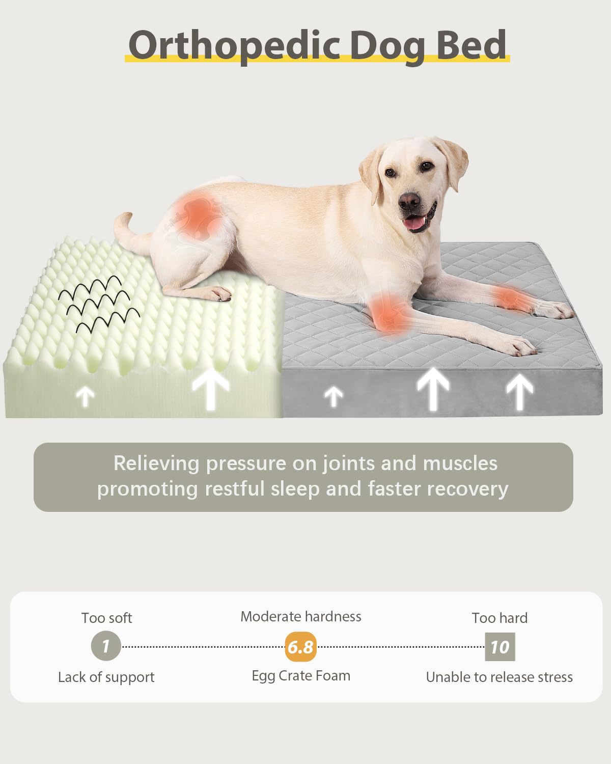NUPIDA - Cama ortopédica para Perros Grandes, colchón Impermeable con Funda extraíble Lavable y Base Antideslizante, colchón Acolchado para Jaula, 88,9 x 55,9 cm, Gris Claro