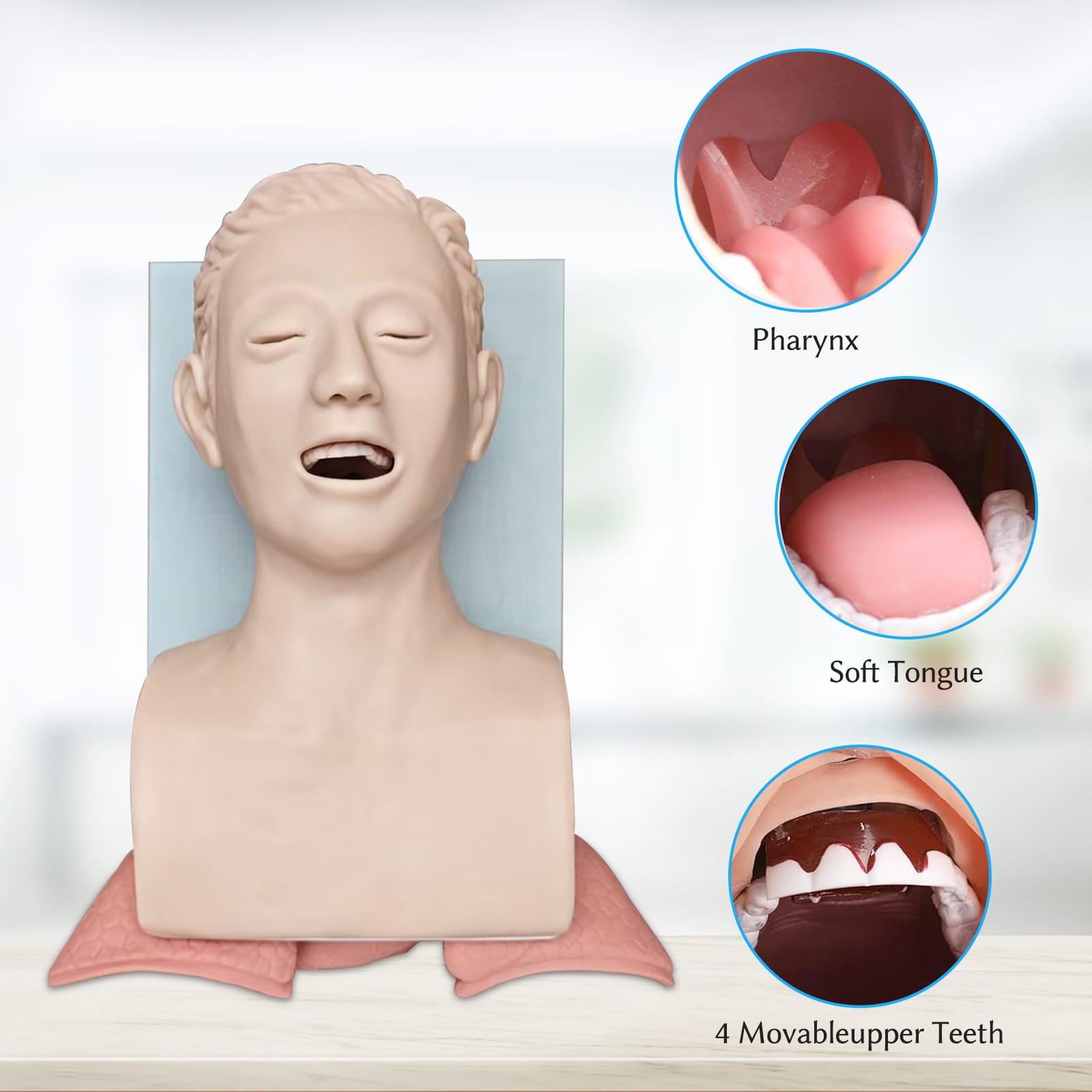 Maniquí de Intubación, Maniquí de Intubación Oral-Nasal para Adultos Modelo Didáctico con Alarma Electrónica, para la Práctica de Estudios de Educación Científica