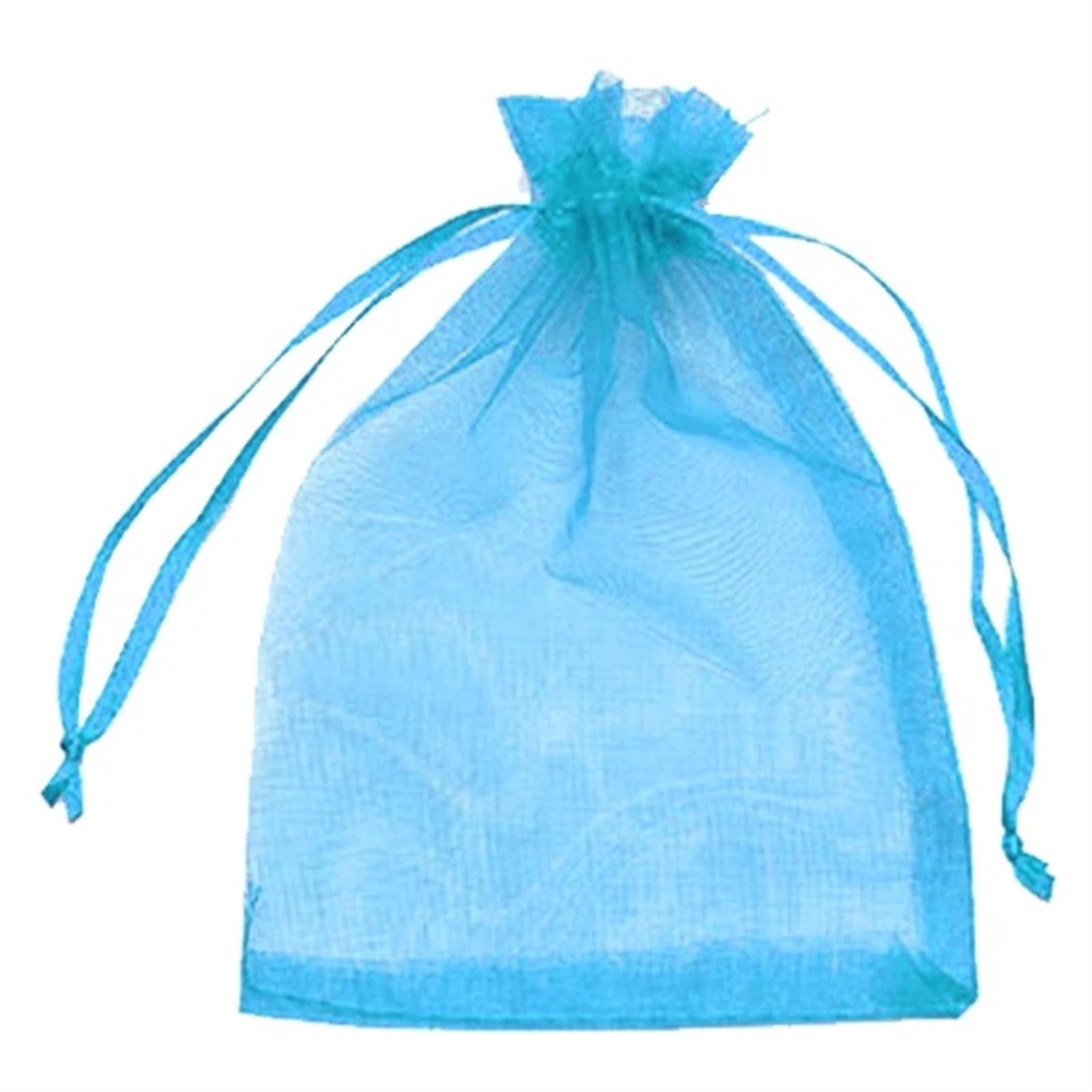 Garden Fruit Cover Mesh 10-100pcs Plant Protection Bags Fruit Grow Netting Mesh For Vegetable Strawberry Grapes Garden Tools(Blue,10x15cm (10 Pcs))