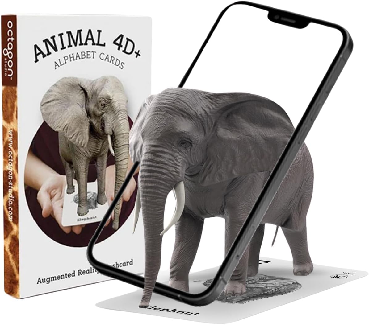 Animal 4D+ フラッシュカードバンドル 内容：5枚の食べ物カード 6枚の動物カード