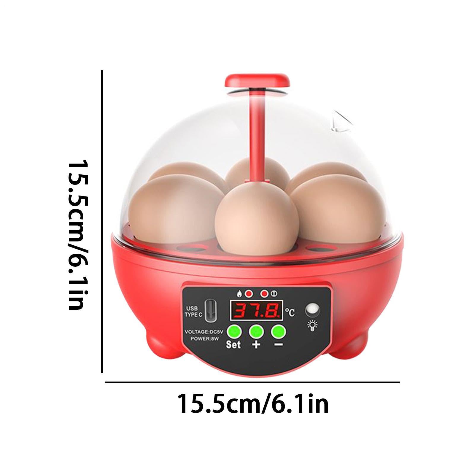 Brutautomat für Hühnereier - Mini 6-Fach Inkubator | Automatische Temperaturkontrolle & Feuchtigkeitsanzeige, Brutkasten mit Klarsichtfenster für Wachteln Enten & Hühner, USB-Betrieb Schule &