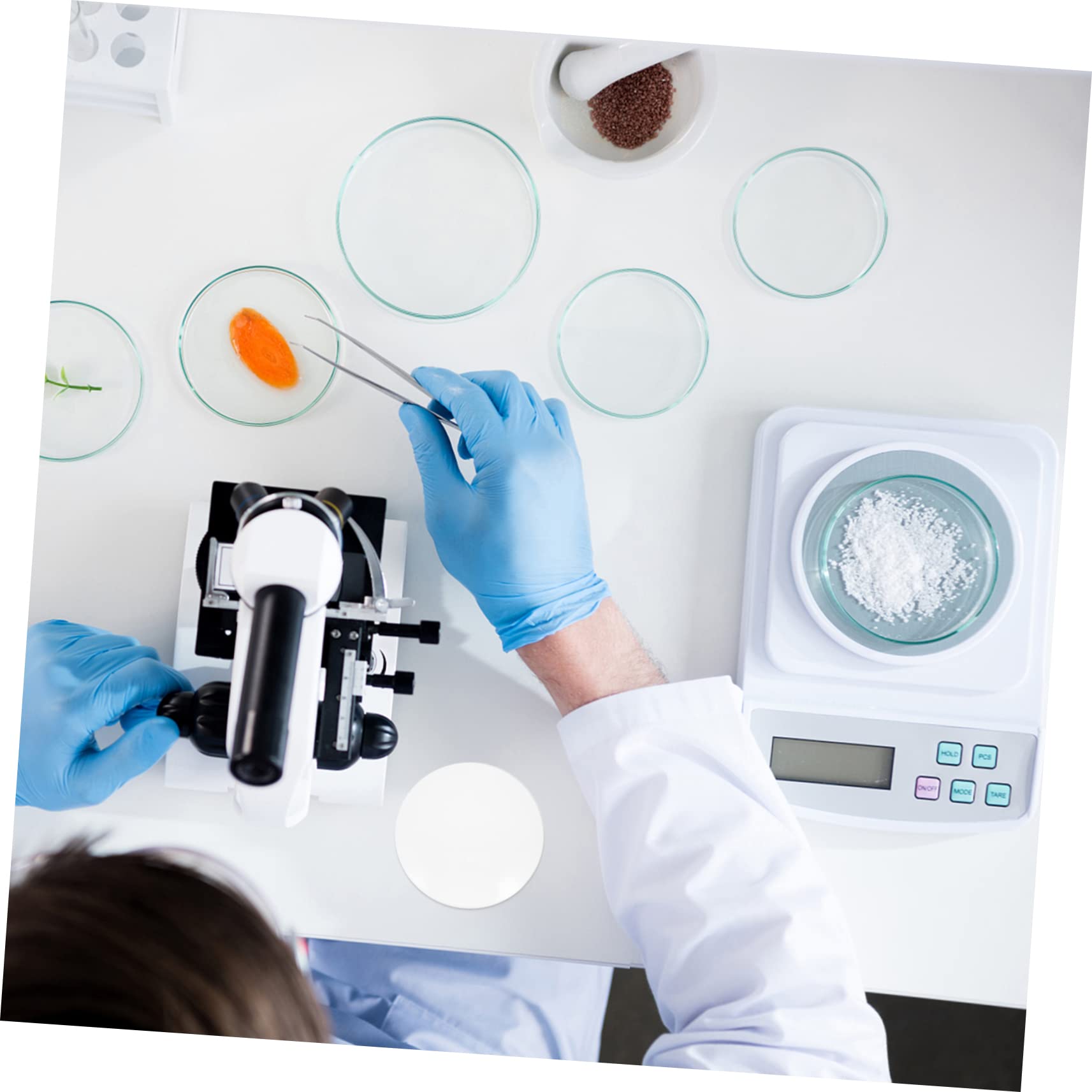TOPPERFUN 10 Pièces Verre De Montre Verre Rond Équipement En De Laboratoire Plat D'Évaporation Chimie Plat D'Évaporation Science Plat D'Évaporation Coups Table