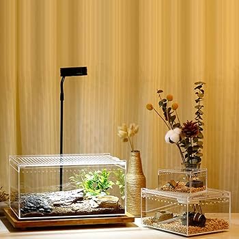 Amazon.co.jp: 爬虫類飼育ケース 透明アクリル 昆虫飼育ケージ