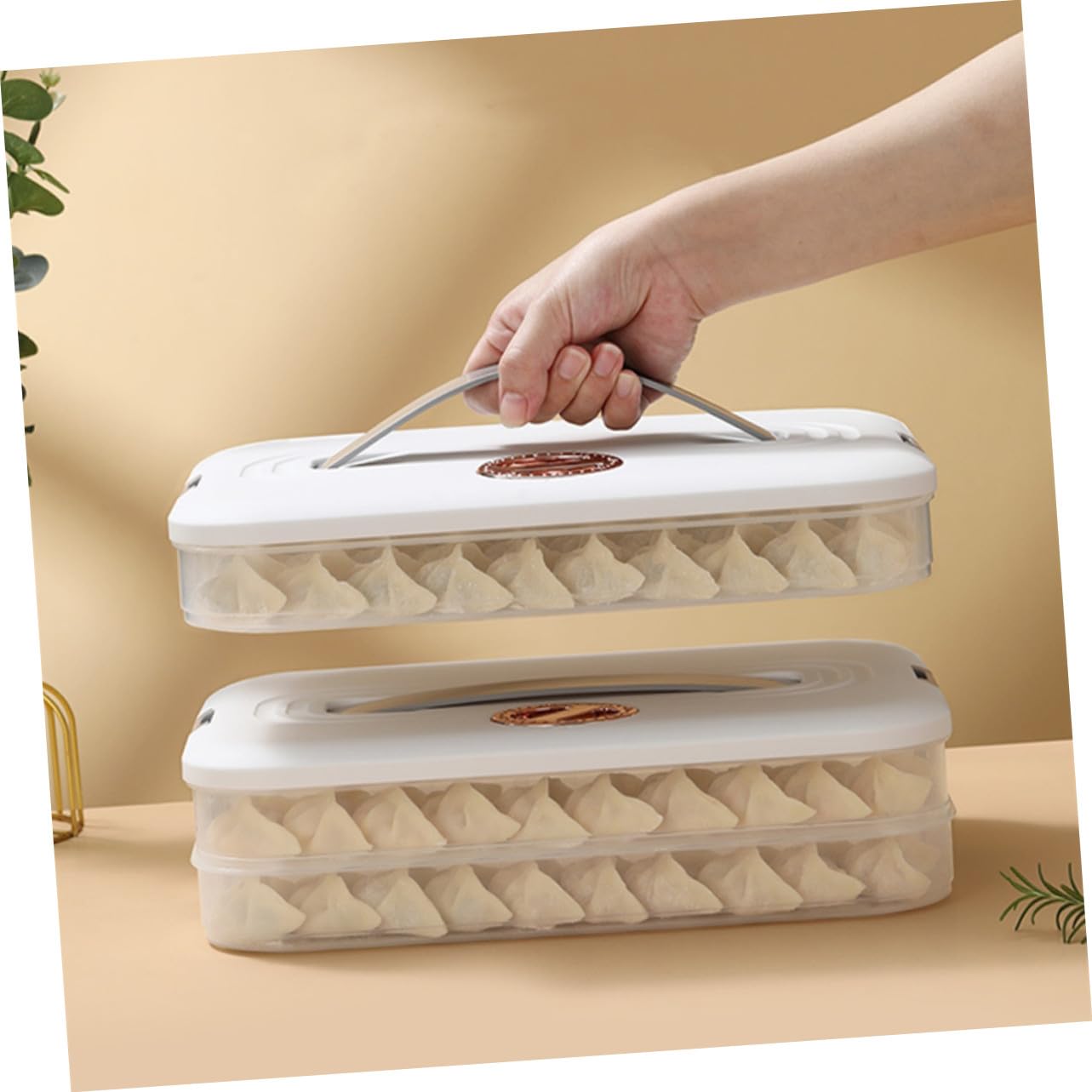 Mobestech Boîte de Rangement Empilable pour Raviolis avec Couvercle Hermétique Boîte Alimentaire pour Réfrigérateur et Congélateur Organisateur Compact pour Maison Conserve Réutilisable