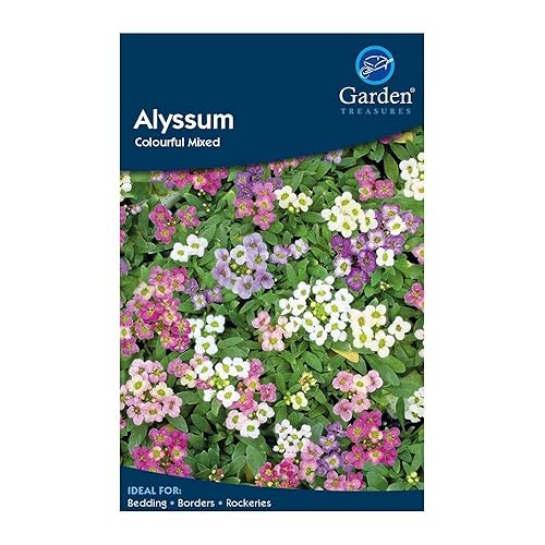 Garden Treasures Alyssum Colourful Mixed Seeds Grow Your Own Flowers
