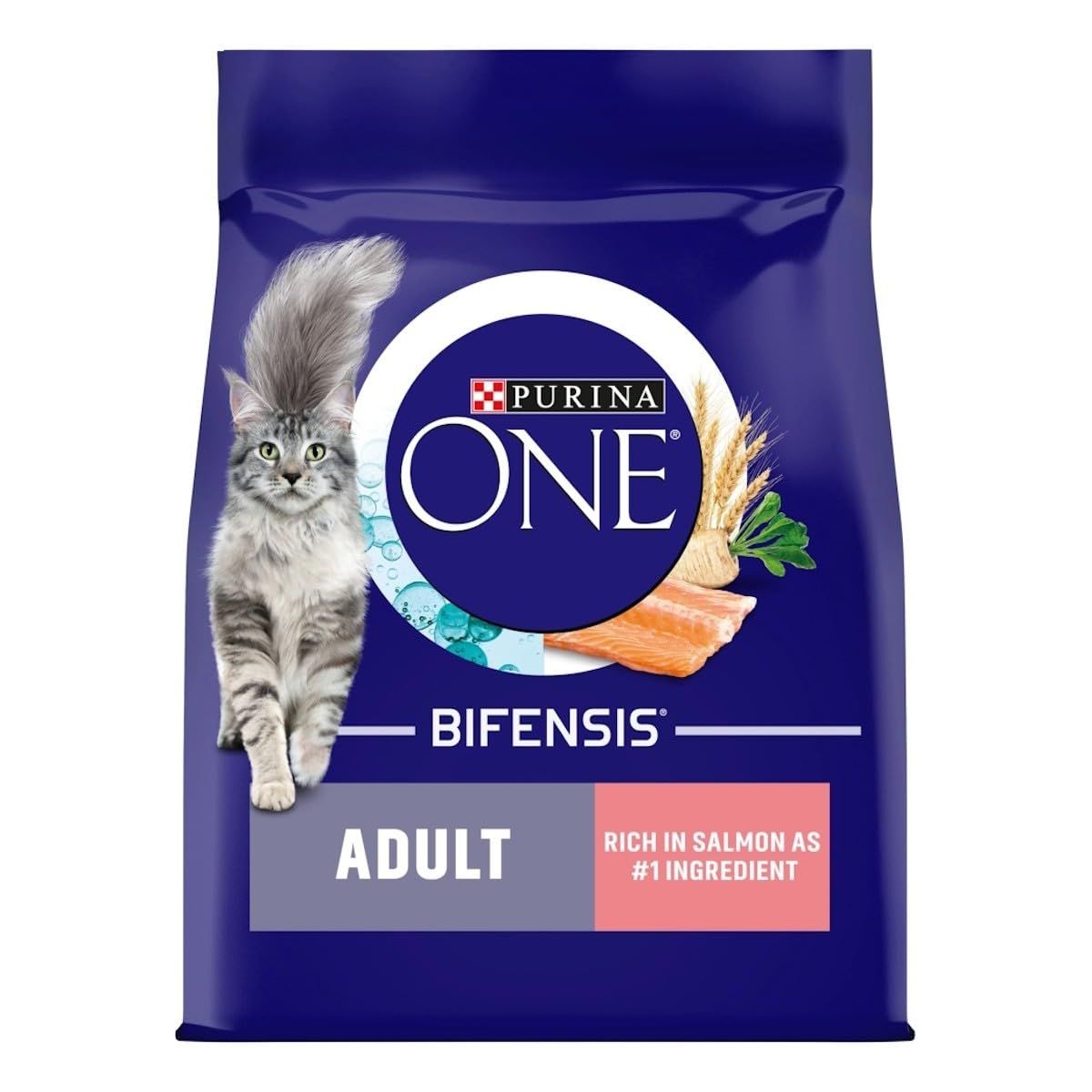 PURINA ONE Adult Salmon & Whole Grains Dry Cat Food 800 grams