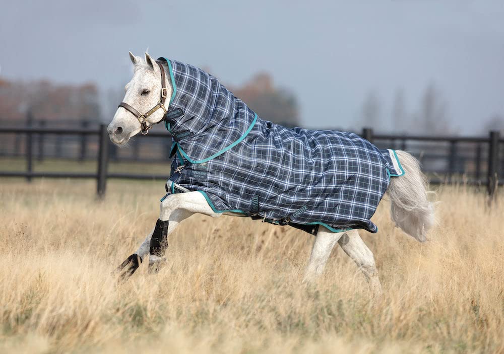 Couverture de pluie pour poney Rhino Plus pour éviter le froid et l'humidité en taille 69