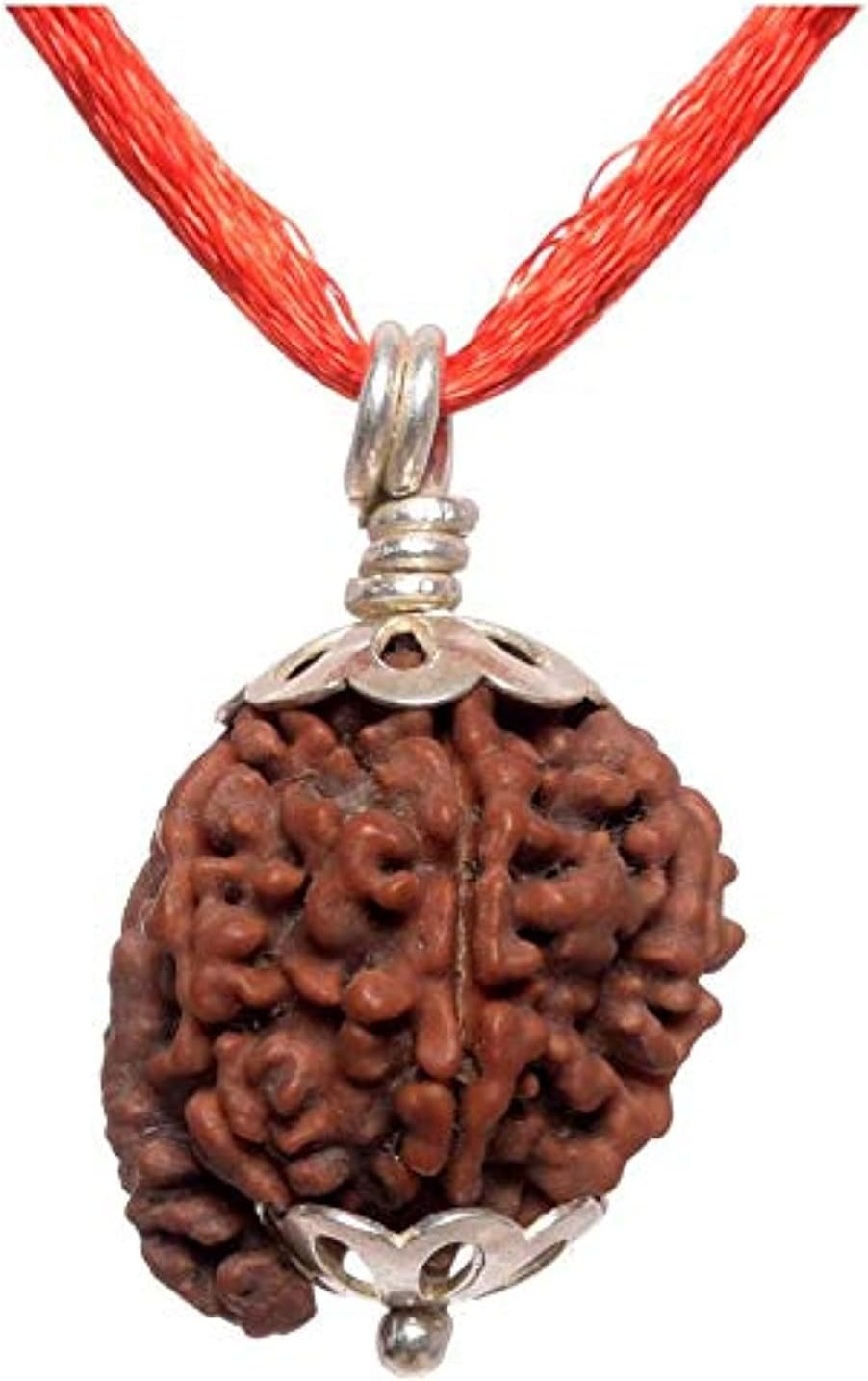 Rudraksha Pendant 5 Mukhi Ganesh JI Origional Nepali Rudraksha Pendant Lab Certified For Men & Womens