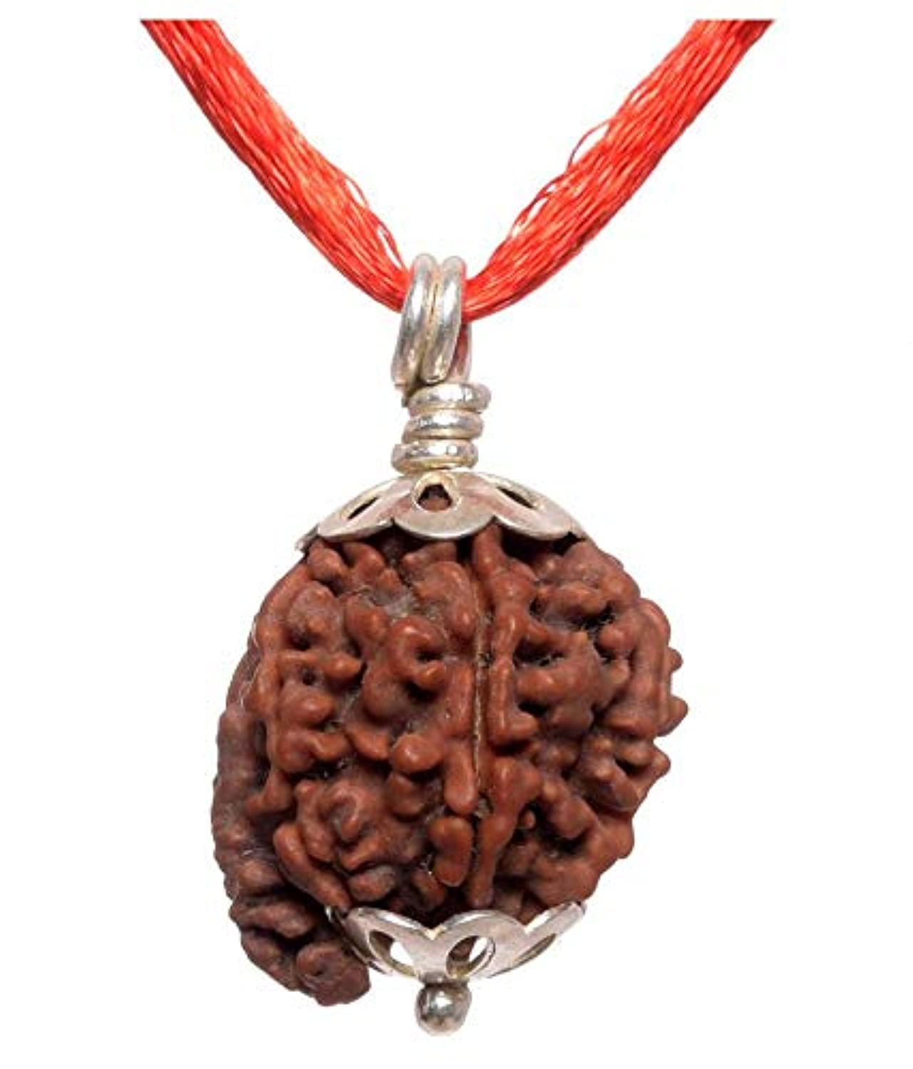 Rudraksha Pendant 5 Mukhi Ganesh JI Origional Nepali Rudraksha Pendant Lab Certified For Men & Womens