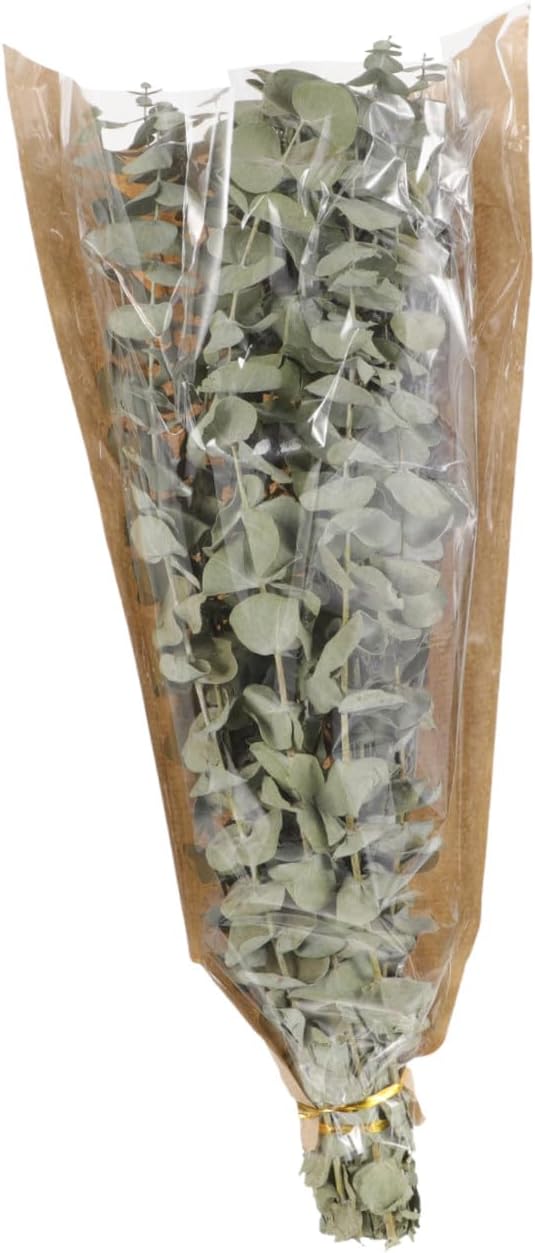 Dried Lavender and Eucalyptus Bouquet for Shower 12 Dried Eucalyptus Stems with 40g Natural Lavender Flowers Aromatherapy Home and Bathroom Décor