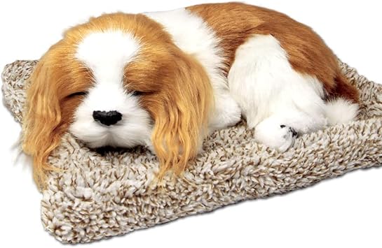 Amazon Co Jp Tatotte 犬のぬいぐるみ リアル 置物 寝顔が可愛いわんこ 活性炭入り 癒し インテリア キャバリア おもちゃ