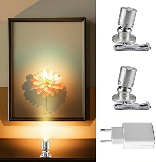2 Stück,Klein LED Scheinwerfer, Mini led spot, 360°,Warmweiß,Silber,5V,1W