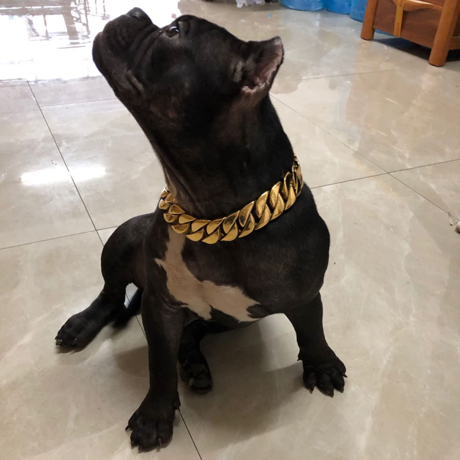 Halsband Für Haustiere Halsband Hund Haustier Halsband Dominanter Großer Hund, Lokales Goldhalsband, Dicke Hundekette, Edelstahlhalsband, Mobber, Cathrow-Haustier,Gold,Breite: 30 Mm Länge 45 Cm
