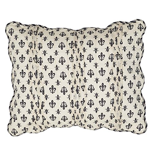 VHC-Brands-2-Pieces-Elysee-Standard-Sham-2-Shams-21×37 VHC Brands 2 Pieces Elysee Standard Sham 2 Shams 21×37