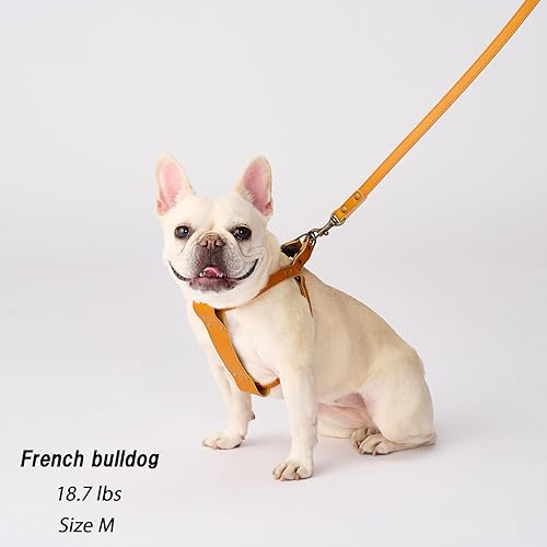 Miniatura 5 de BONBI ALCON Tochigi - Arnés de piel para perros medianos, marrón, talla M, fabricado en Japón