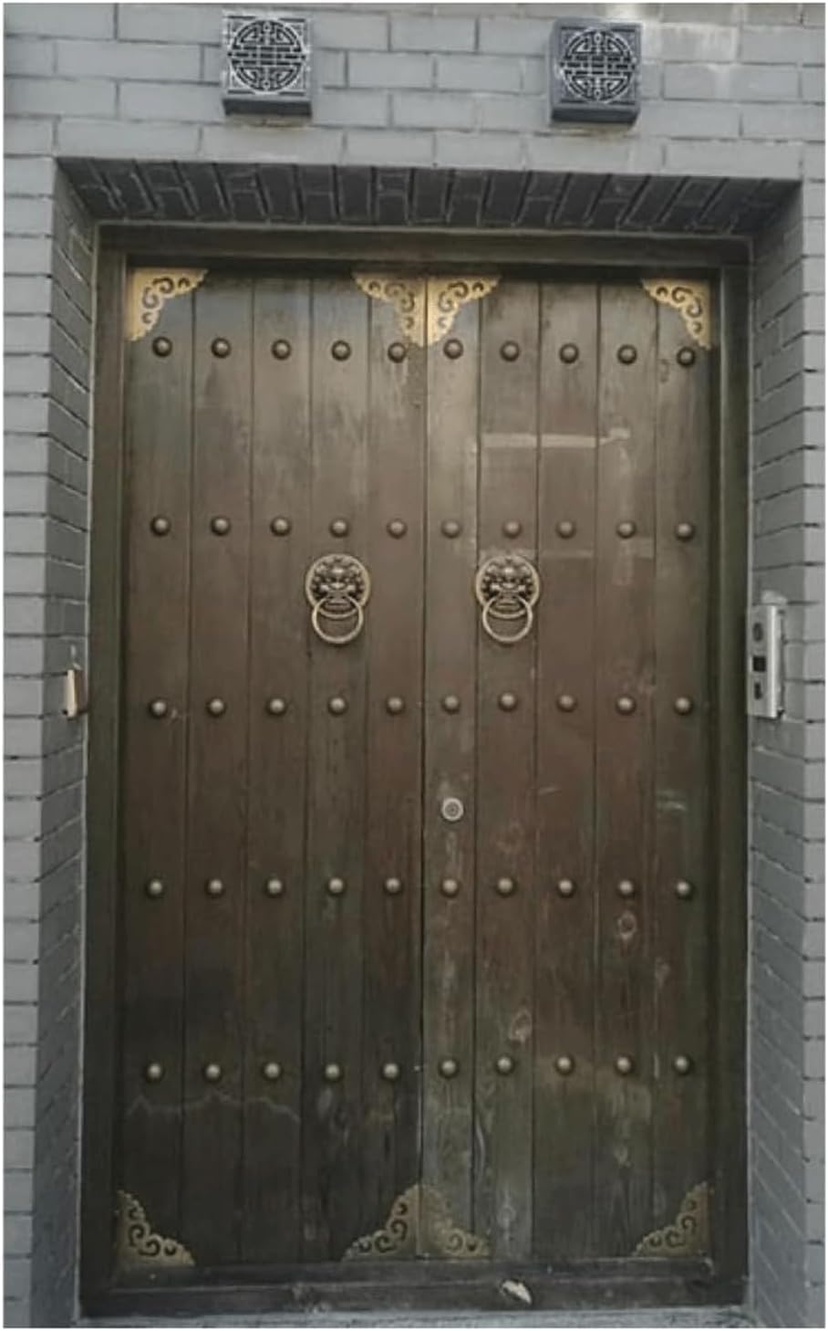 TIST Iron Door Knocker Front Door Door Knock Antique Copper Animal Head Door Handle Classical Heavy Duty Door Ring Knocker Surface-Mounted Installation(B,Dia 16cm)