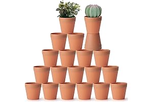 Clay Pots for Crafts and Plants - Pack of 20