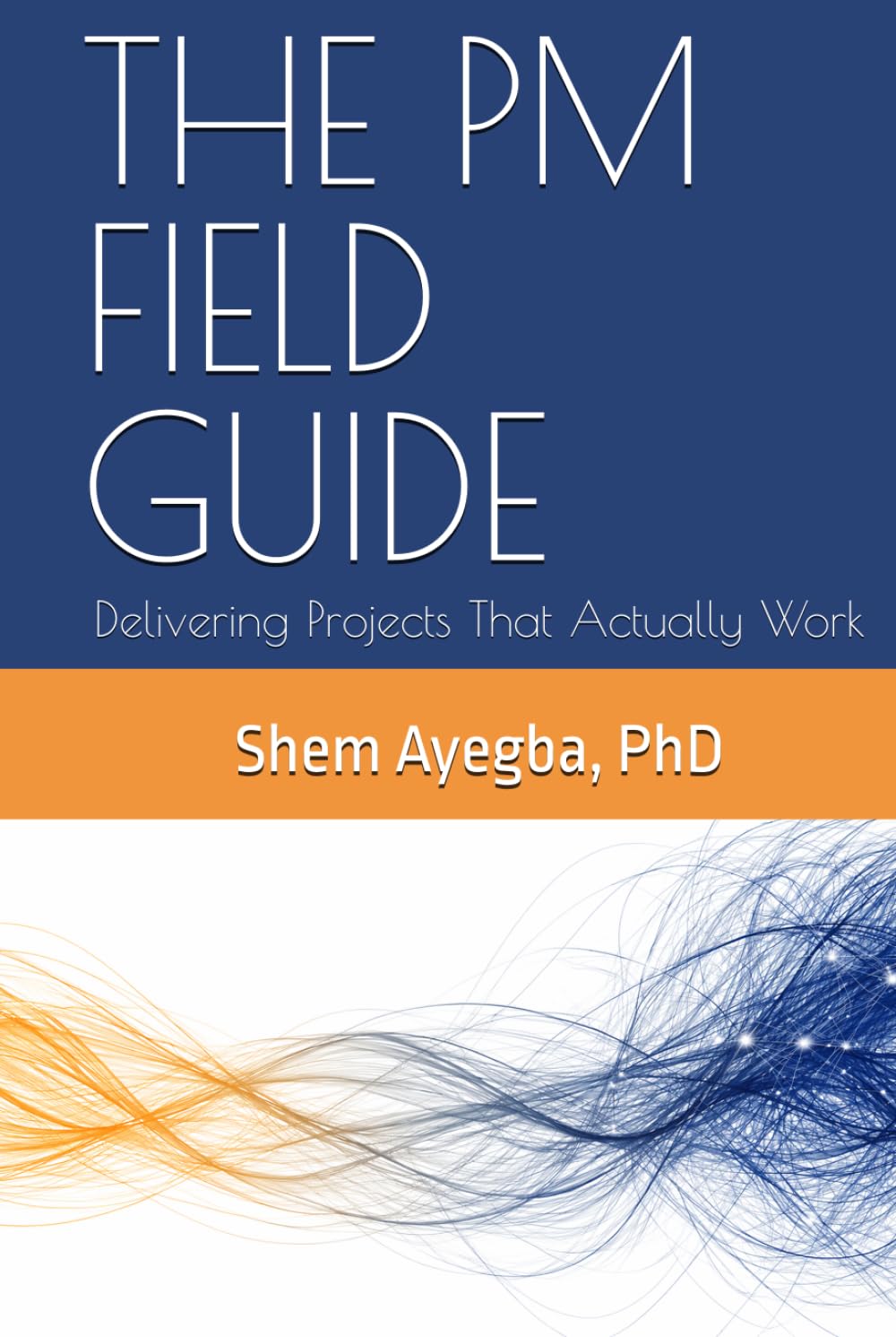 THE PM FIELD GUIDE: Delivering Projects That Actually Work