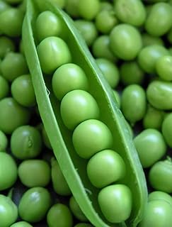 Sponsored Ad - Todd's Seeds Little Marvel Pea Heirloom Seed, Non-GMO, Chemical Free, High Germination (1/4 Pound)