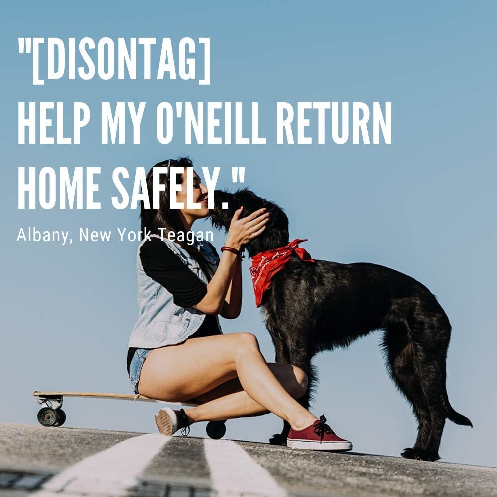 DISONTAG Pet ID Tags, Personalized Dog Tags,Cat ID Tag, Custom Dog Tags,Unique Information Display|Modifiable: Office Products