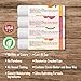 CHAP-LIP Original Lip Balm Hydrating Bulk Chap Stick with Fruit Flavors, Coconut Oil, and Cocoa Butter - Christmas Gift Stocking Stuffers Lip Therapy Pack for Men and Women - Made in the USA, 60 Pack