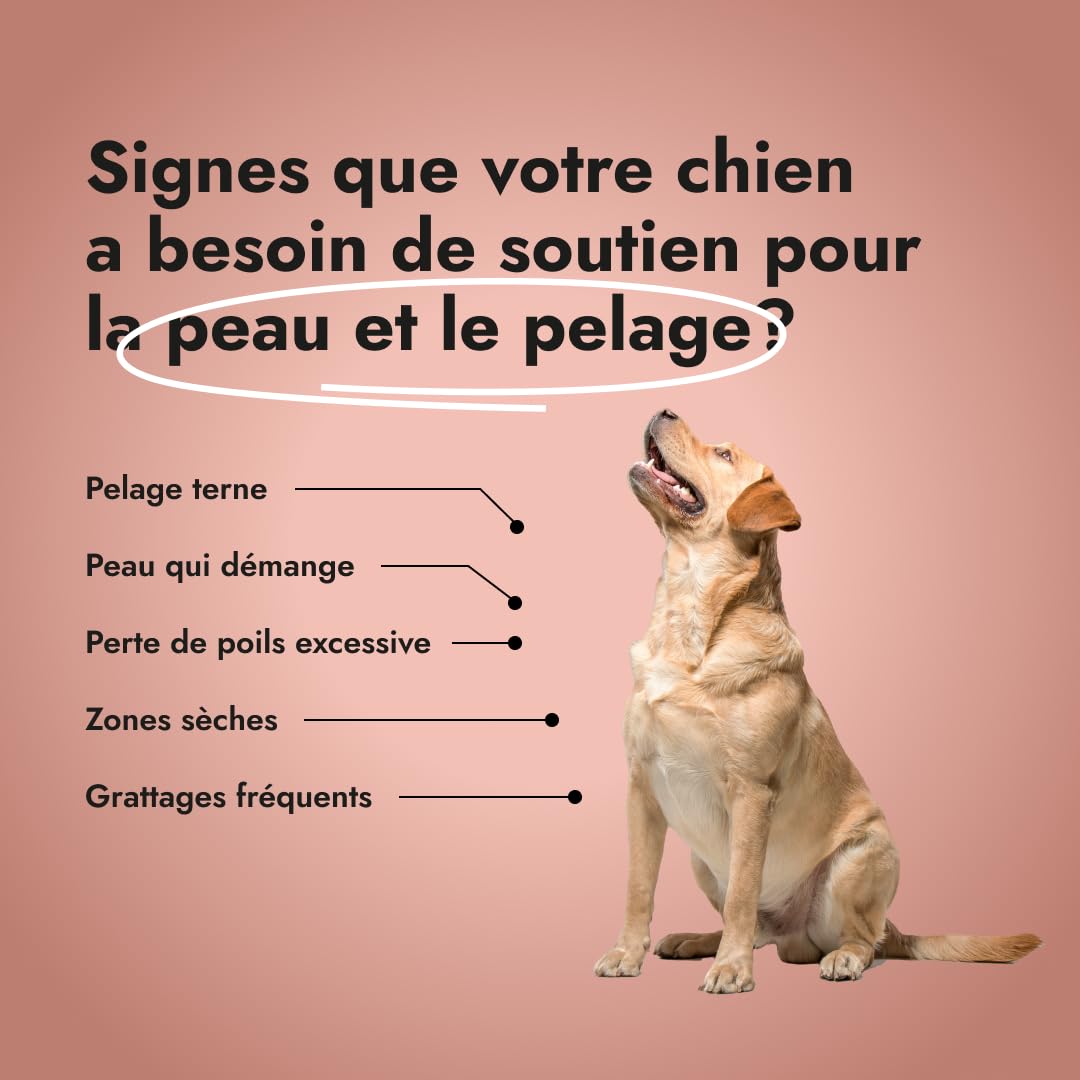 Super Skin & Coat Omega 3 pour Chiens – Peau Saine & Pelage Brillant avec Oméga-6, Zinc, Biotine, Vitamine E & Huile de Poisson – Réduit Démangeaisons & Perte de Poils (100 g (Paquet de 3))