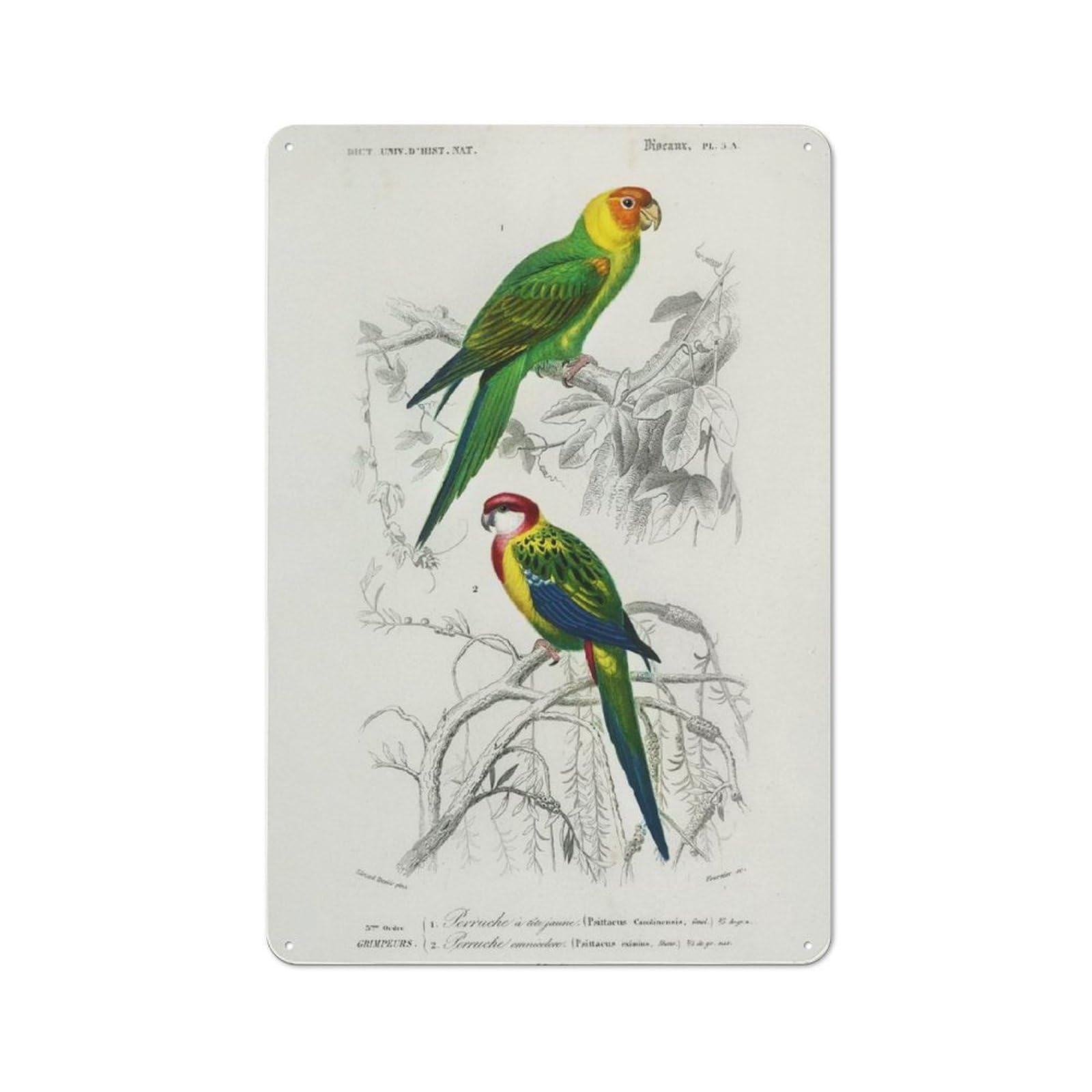 Tin Wall Plaque 30x20cm with Birds for Workshop Wall, Housewarming Wall Decor for People Furnishing Workshop