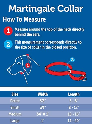 Miniatura 3 de PetSafe Adjustable Martingale Collar - Only Tightens When Dogs Pull Prevents Slipping Out - Helps with Strong Pullers Increased Control -