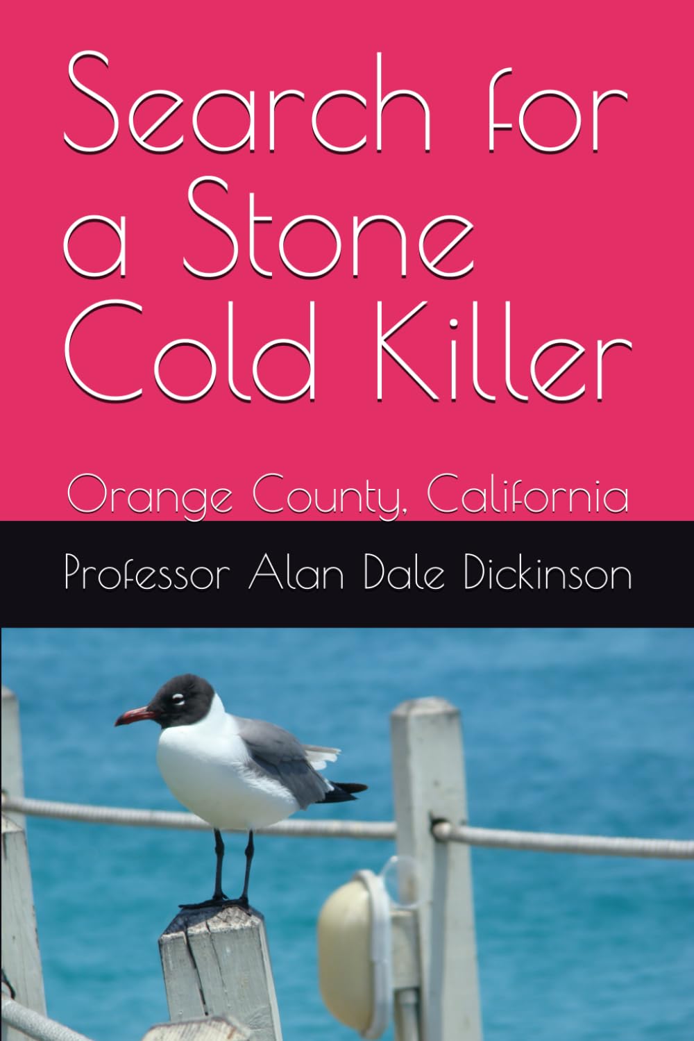 Search for a Stone Cold Killer: Orange County, California