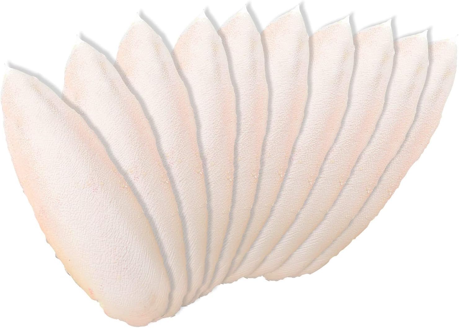 Newsmy 4 Pack Cuttlefish Bone for Birds, Natural Cuttlebone for Parrots and Budgies, Calcium Chew for Beak Care, Suitable for Snails and Tortoise [4Pcs 15CM] — view 14